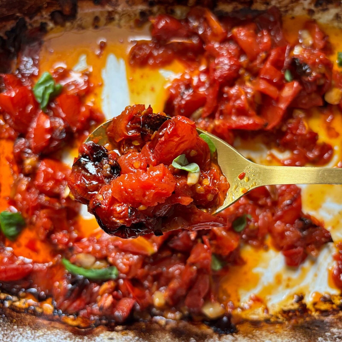 Slow Roasted Calabrian Chile Tomatoes
